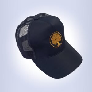 Cap Navy Mesh Peak
